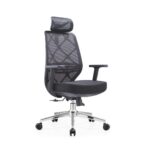 NordicArc Hieno Ergonomic Chair
